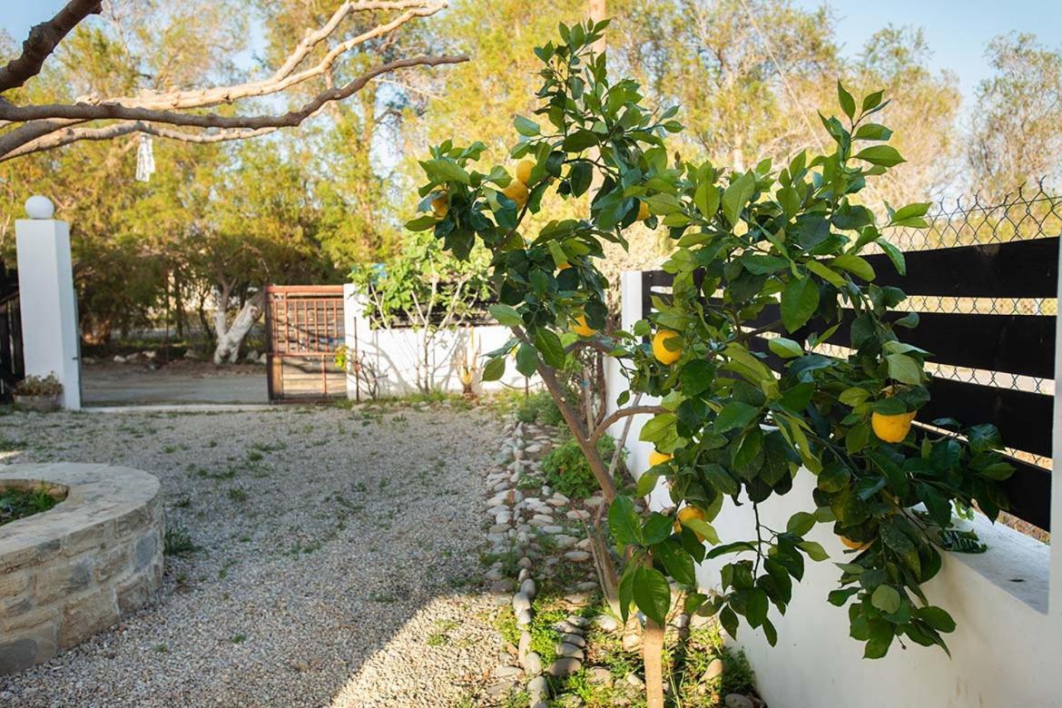 Afrathias Beachhouse - Cretan Hideaway カラマキ エクステリア 写真